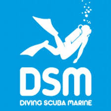 Diving-Scuba-Marine