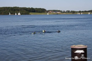 barrage 2012 olivier (22)