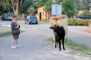 Incantu Corse 10-2013 (259)